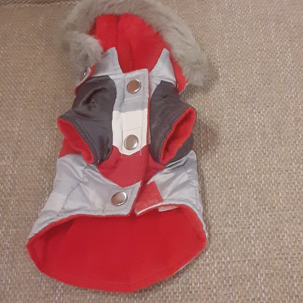 Puppy coat